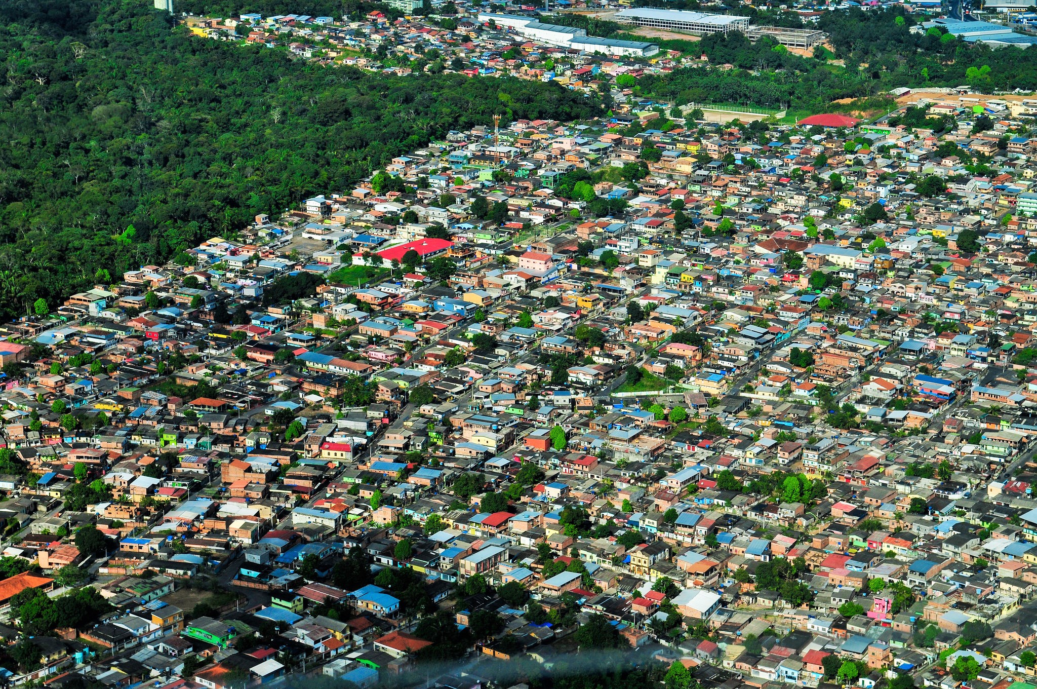 Para proteger los bosques del mundo, debemos comenzar por sus ciudades