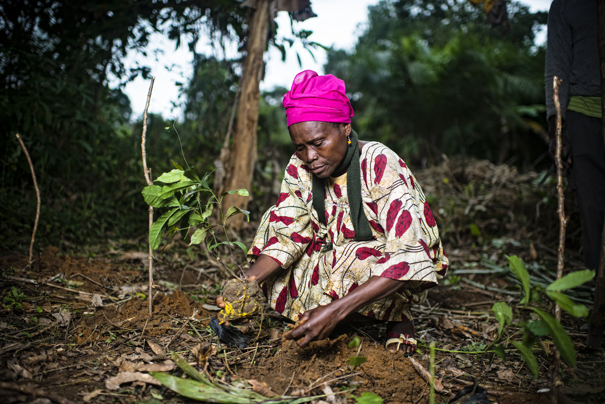 Restoring the world’s forests: What does it mean for women’s rights?