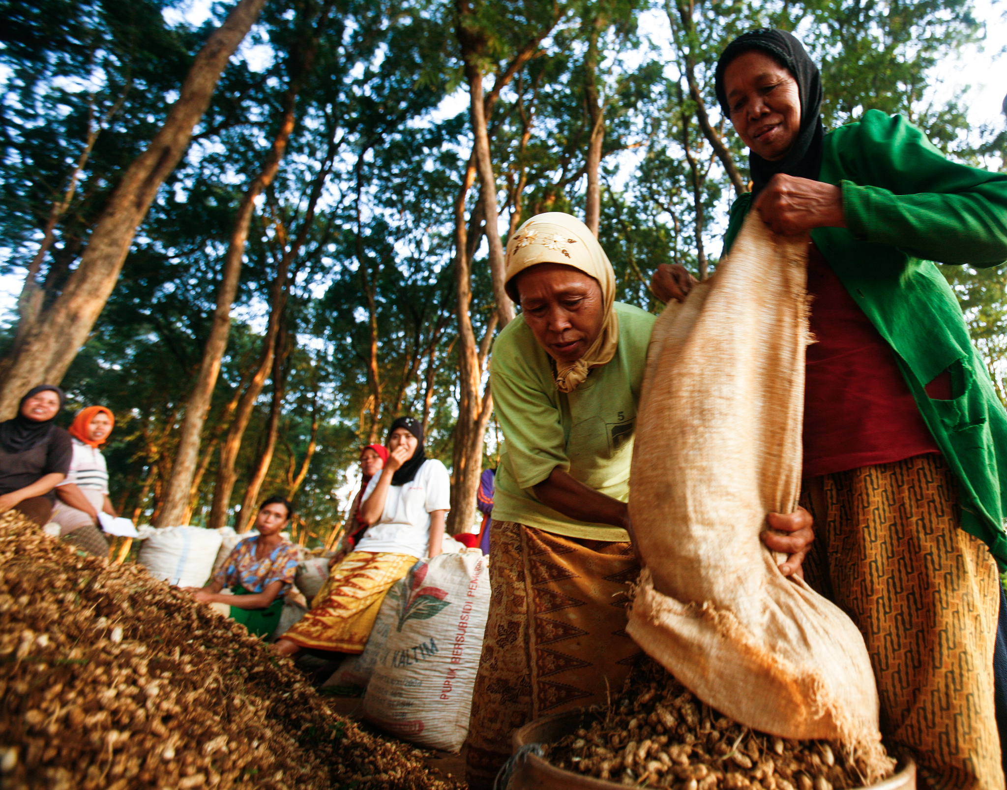 Ikuti kuis ini: Apa yang Anda ketahui tentang perempuan dan kehutanan?
