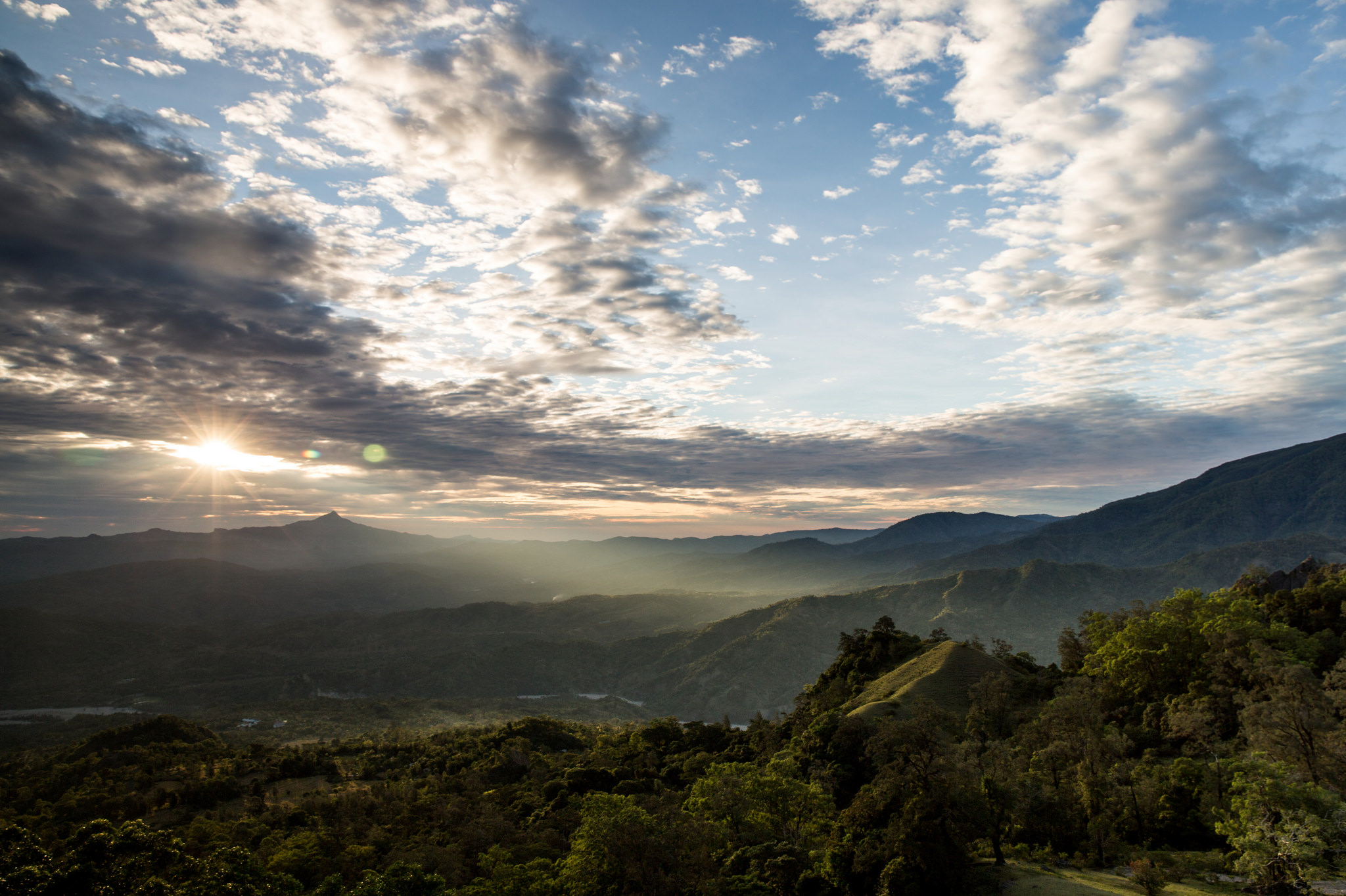 Robert Nasi: What’s happening to our forests?