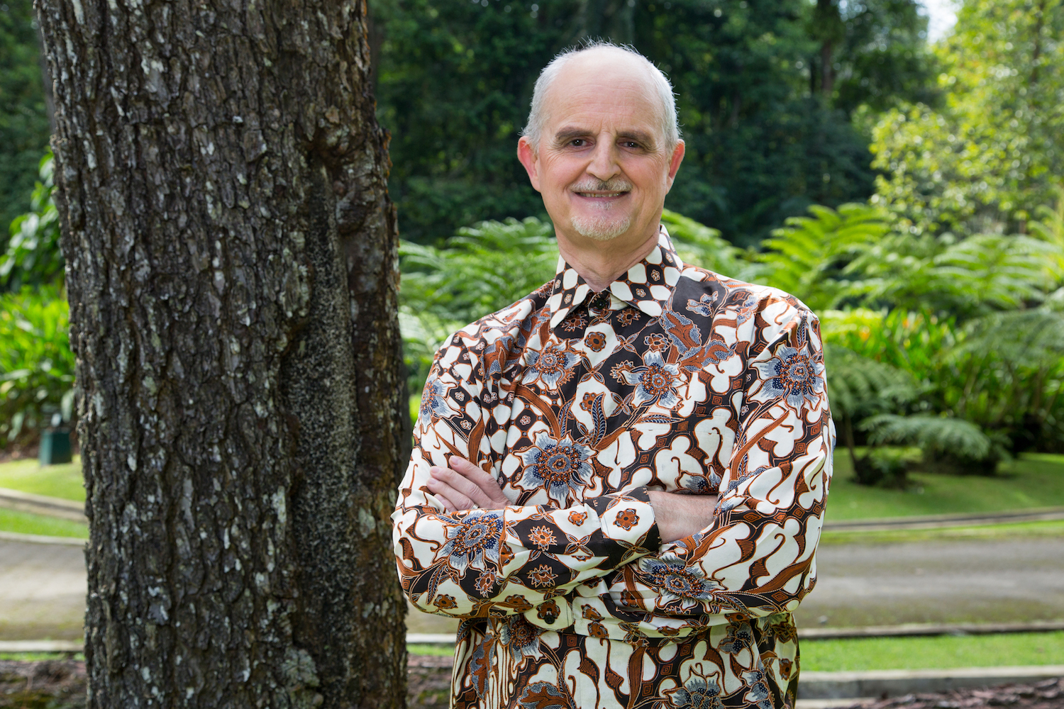 Forest restoration could ringfence $6.3 trillion in ecosystem services