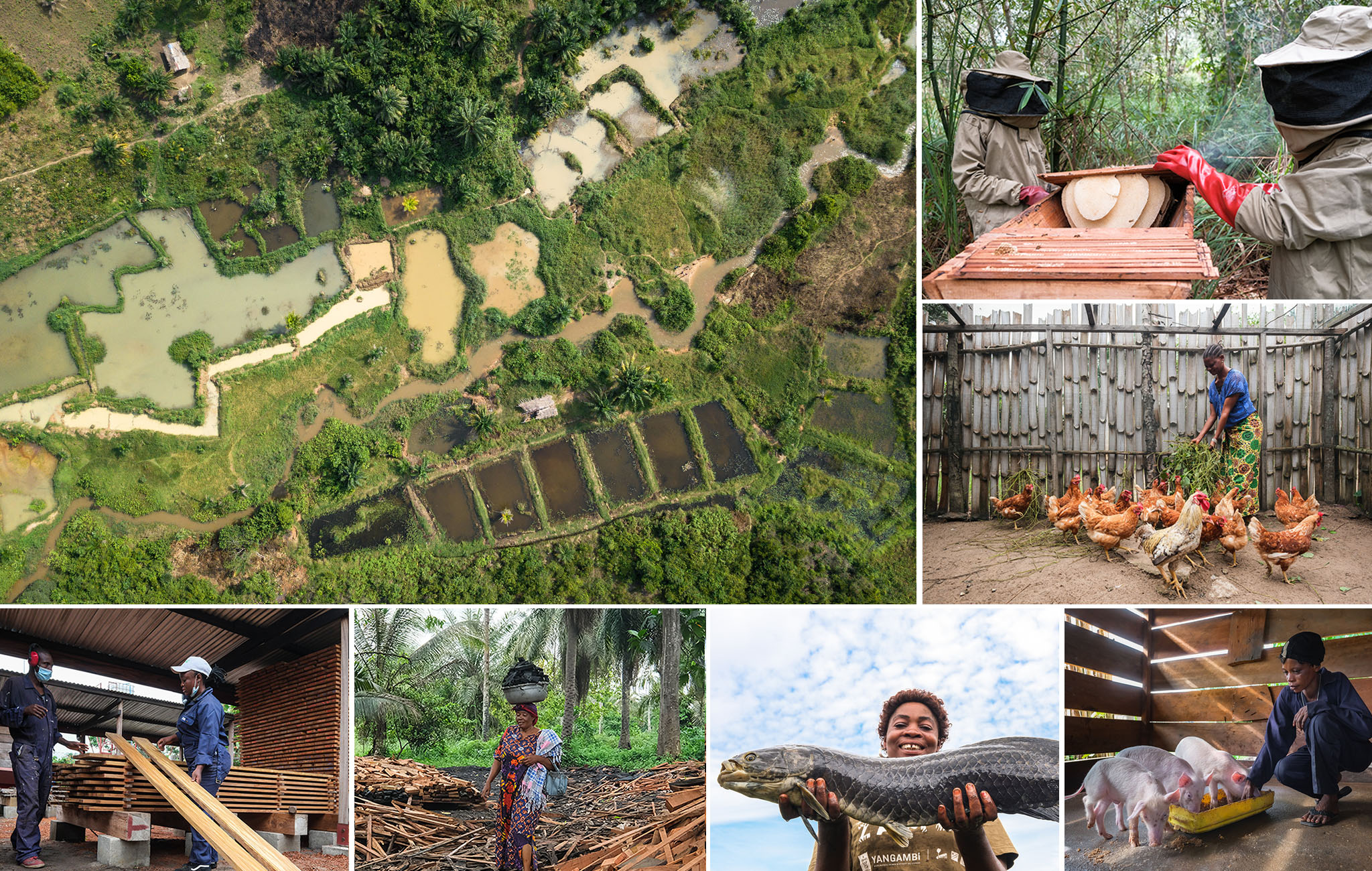 Photos-by-Axel-Fassio-CIFOR-ICRAF