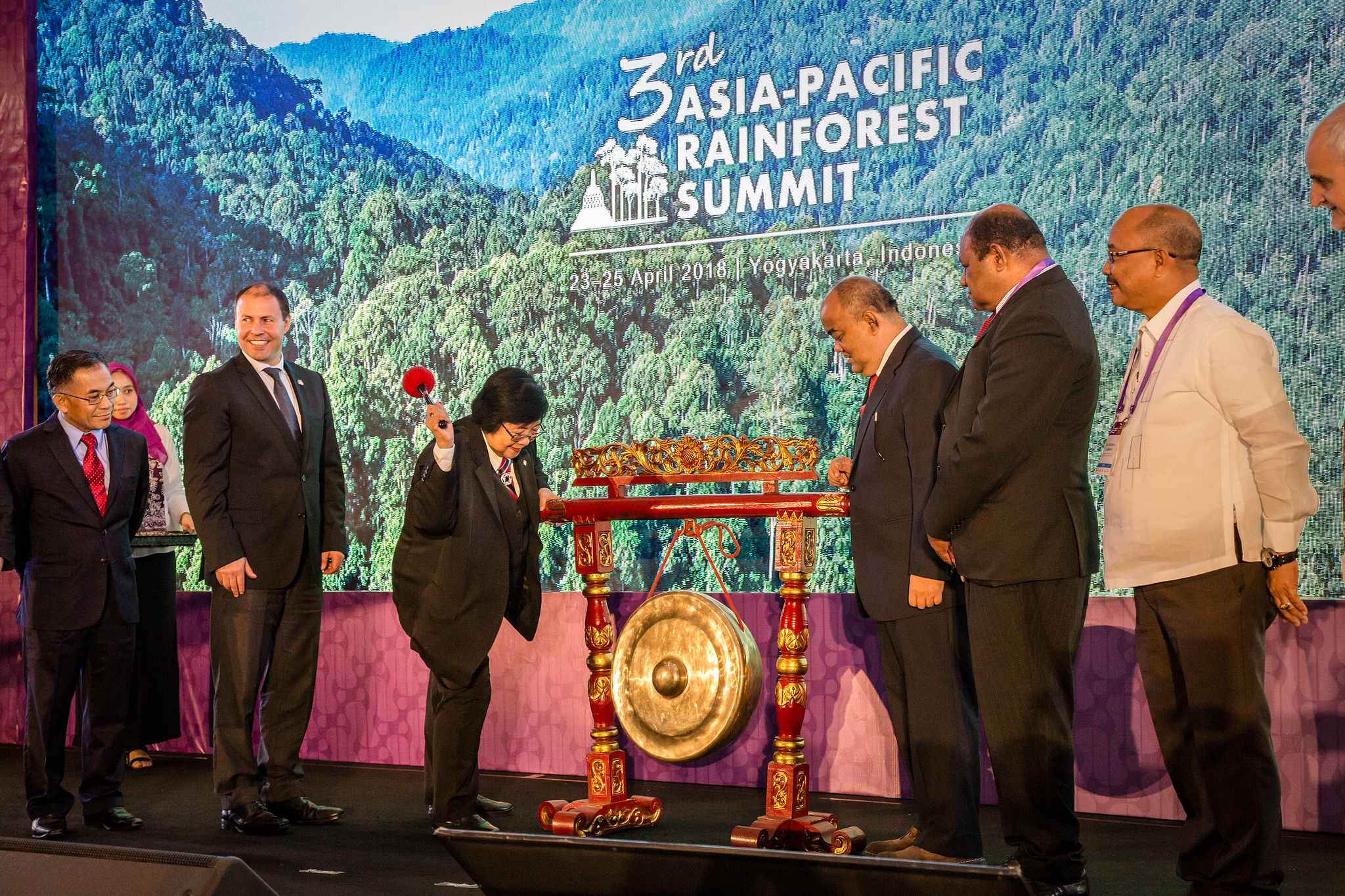 What happened at the 2018 Asia-Pacific Rainforest Summit