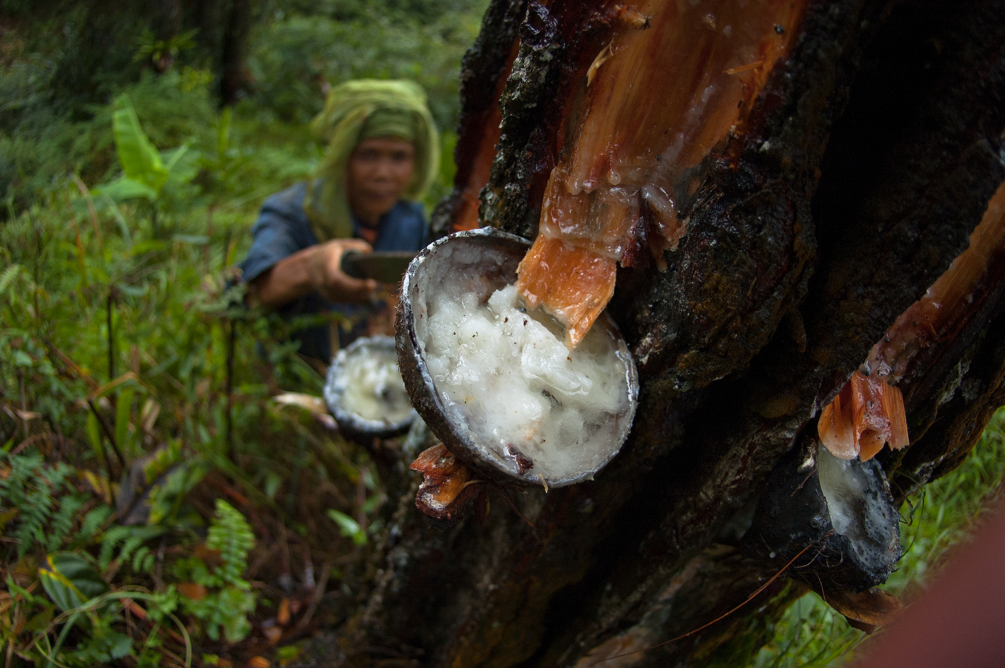Meningkatkan kelestarian dengan obligasi