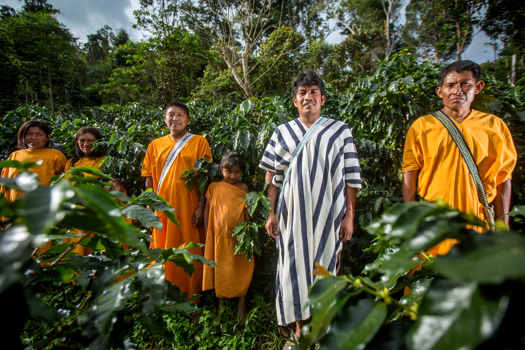 Restauración: El componente local es clave para plantar árboles (y mantenerlos con vida)