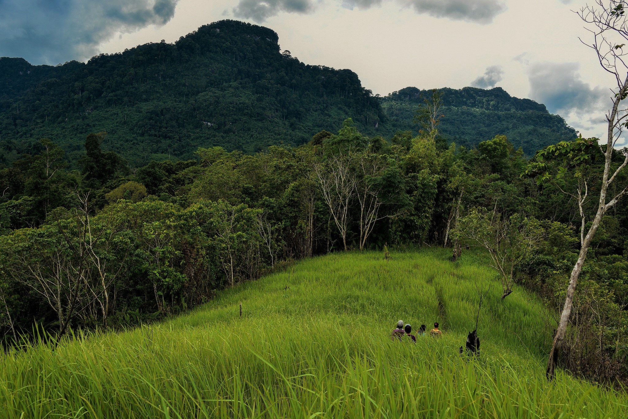 10 años después, la tenencia continúa siendo un desafío para REDD+