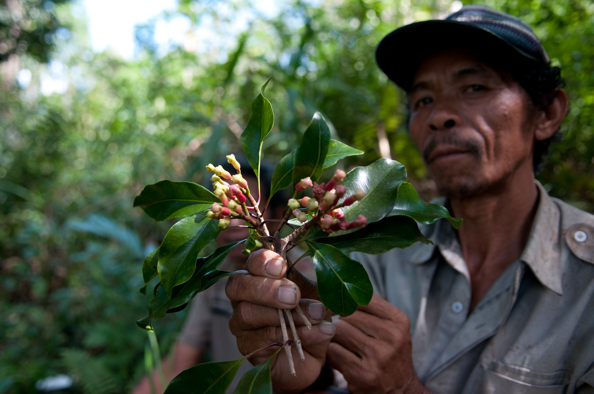 Mengatasi dilema tata guna lahan dengan ‘empat kekuatan’