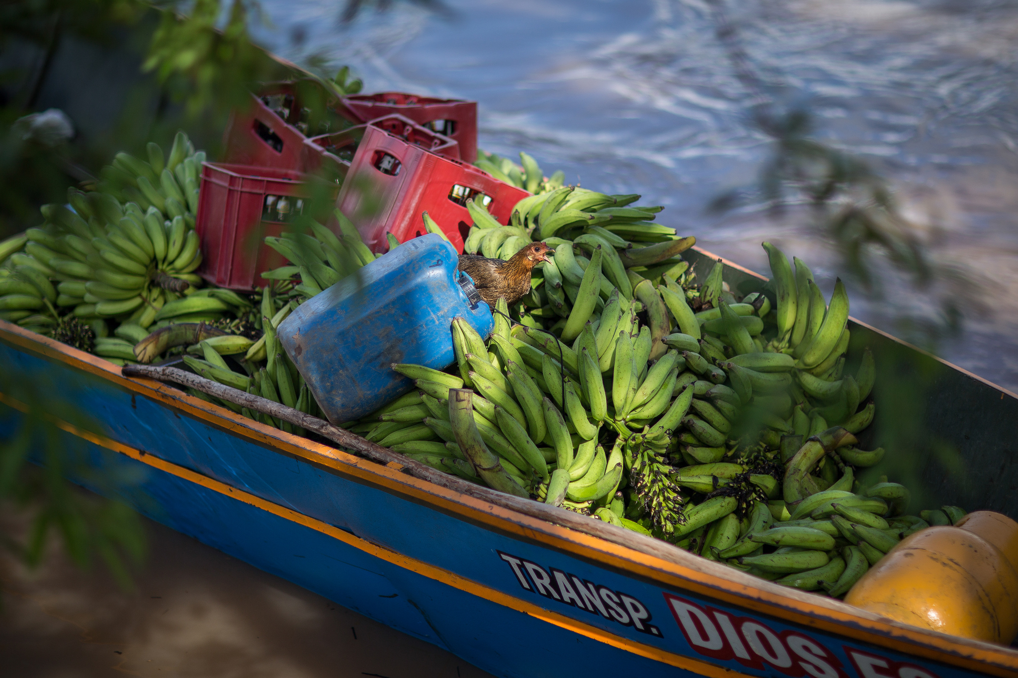 Where REDD+ money goes – and doesn’t go