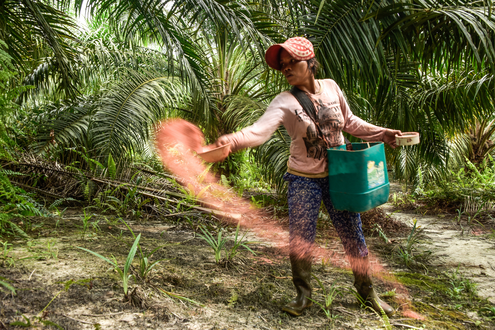 Apakah komoditas bebas deforestasi terlalu muluk untuk diwujudkan?