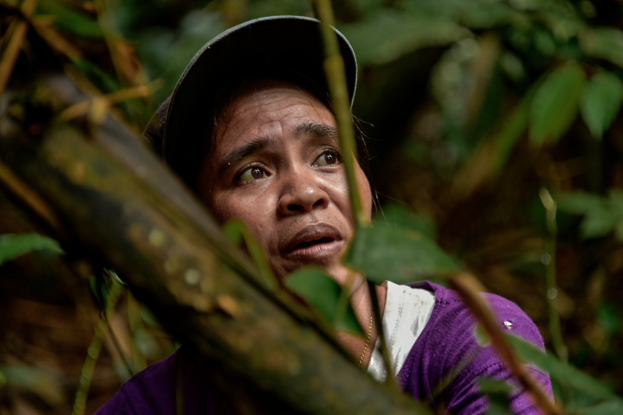 Mujeres y bosques, décadas de investigación a solo un click