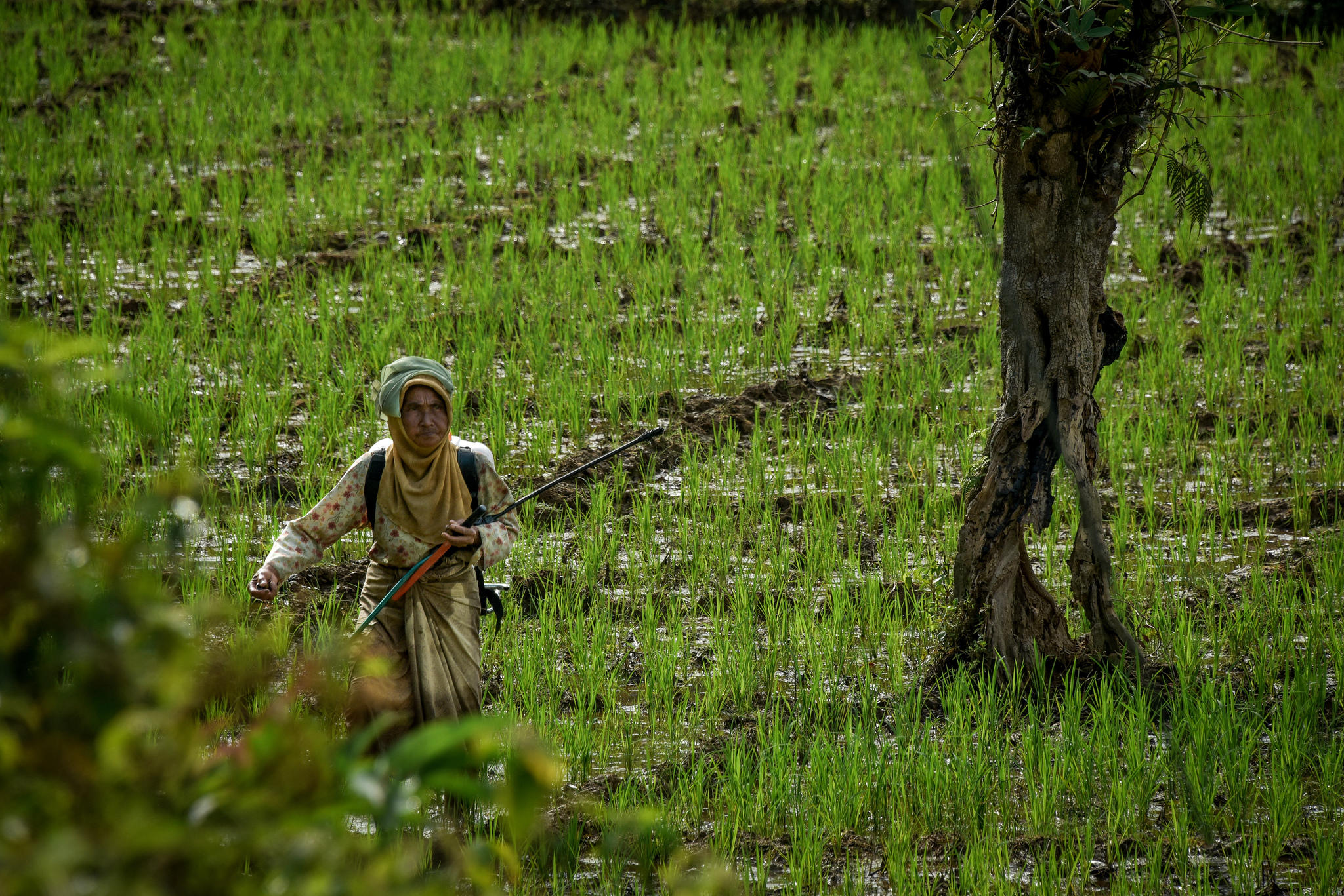 Masalah keadilan dan perbaikan teknis proyek-proyek konservasi