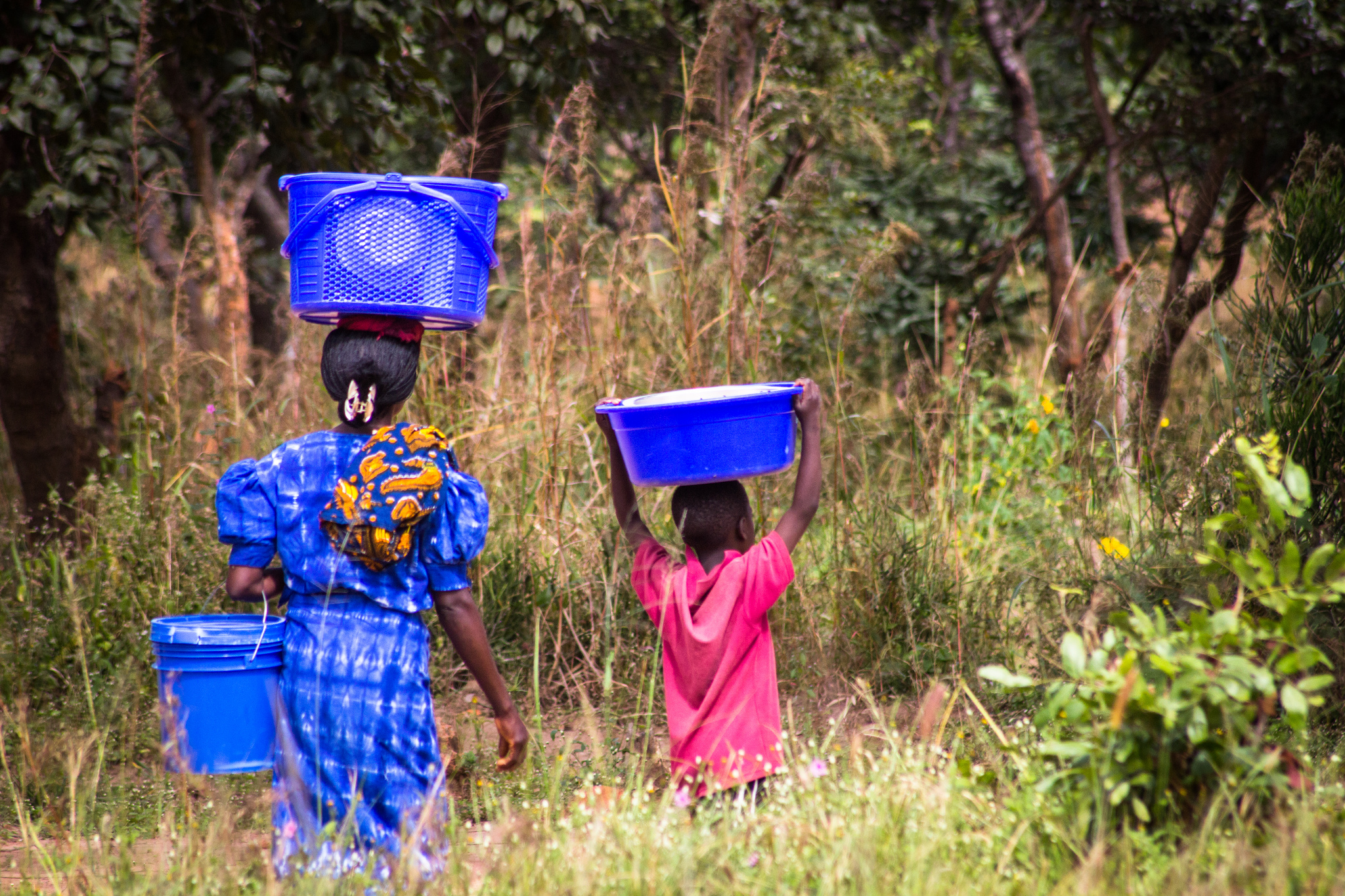 ¿A dónde – y a dónde no- va  el dinero para REDD+?