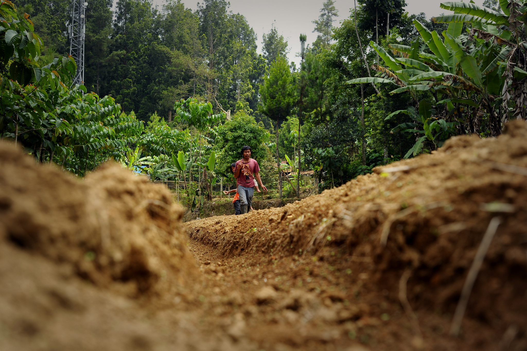 Asuntos de tenencia, el principal freno para la inversión en los paisajes sostenibles