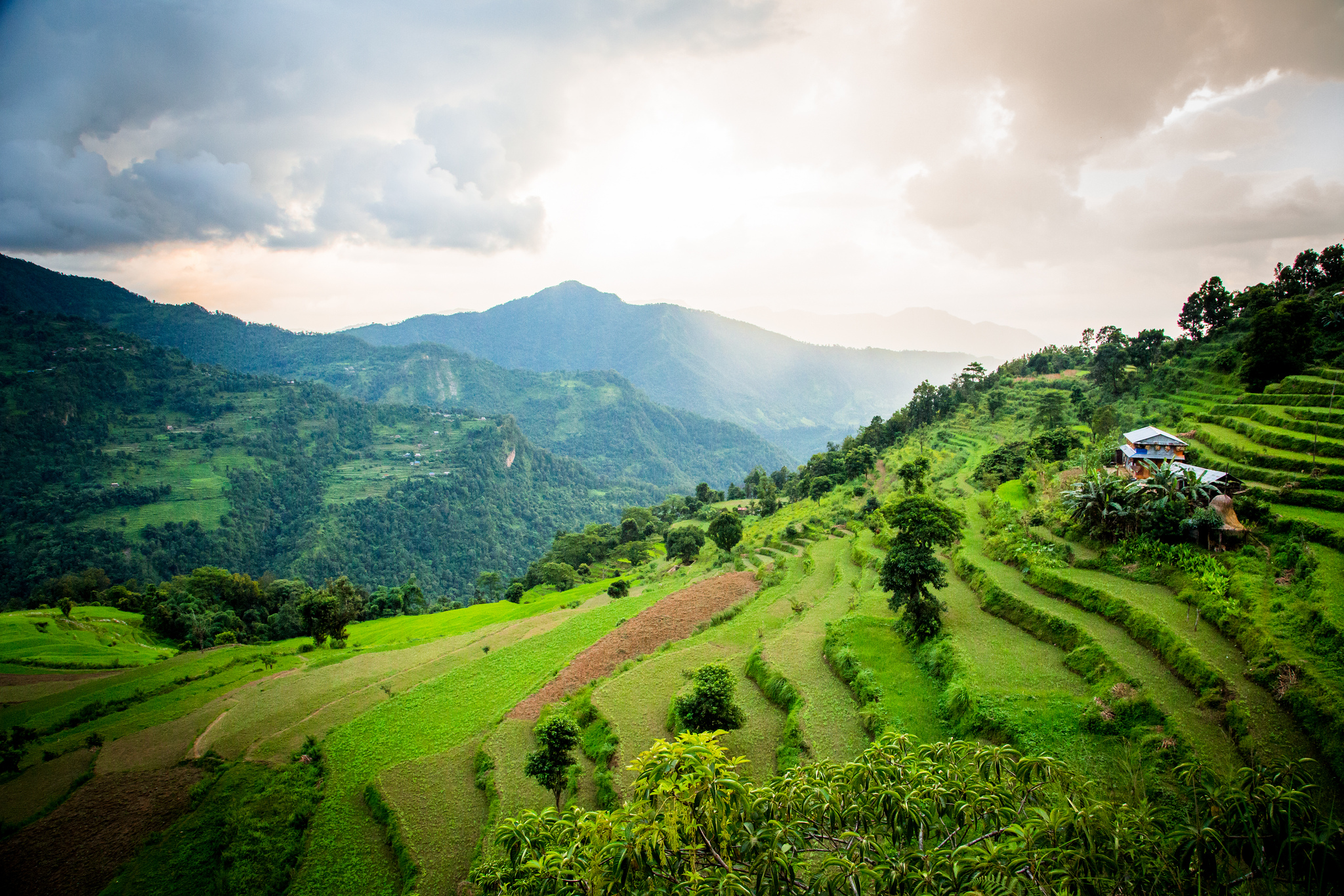 Kemajuan proses tata kelola bentang alam