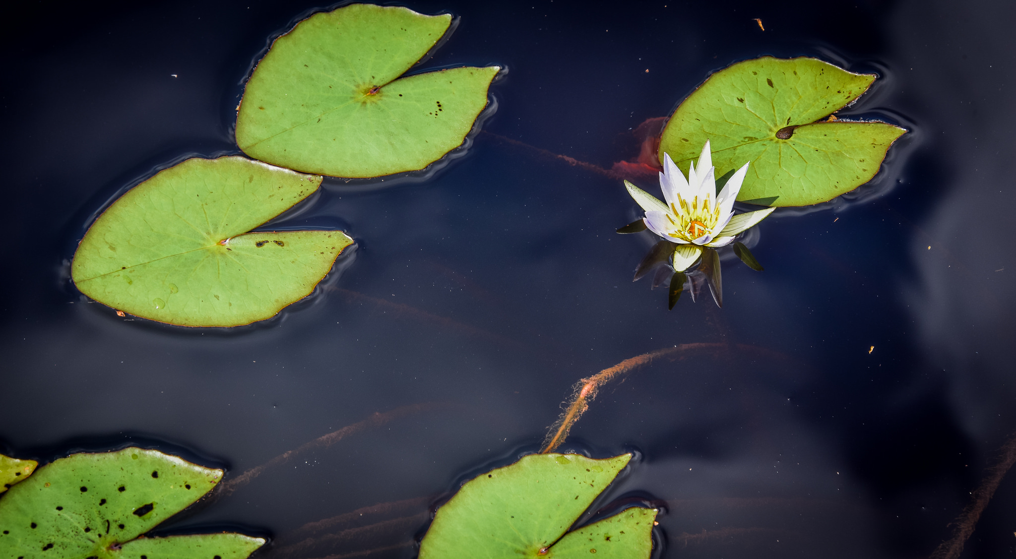 Three questions on ecotourism with Robyn Nixon