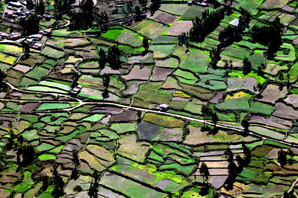 Cinco beneficios al acortar la brecha entre la política y la ciencia sobre servicios ecosistémicos