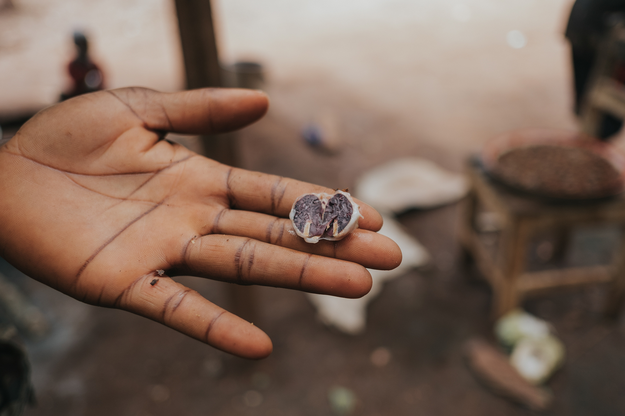 Cocoa agroforests mean more than chocolate