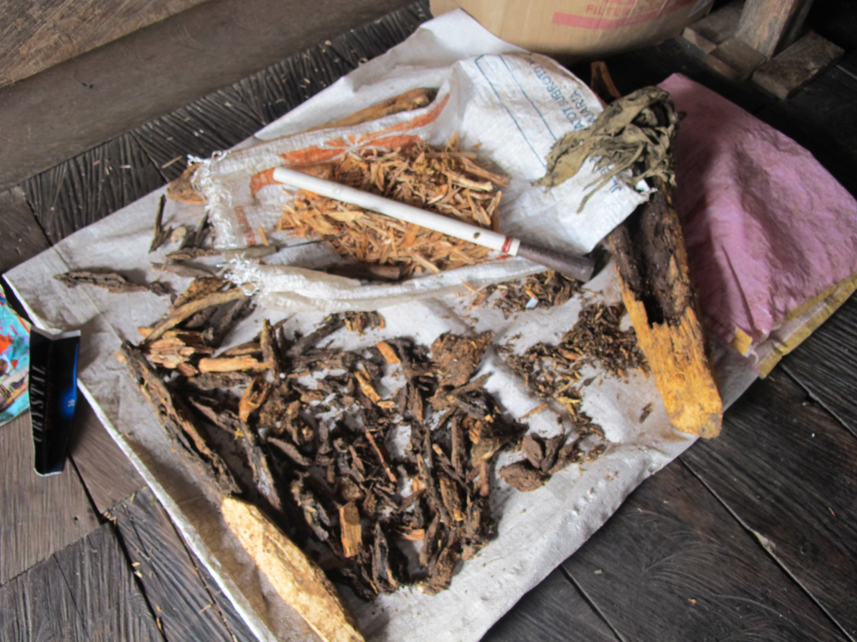 Getah Gaharu: Sebuah kisah migrasi