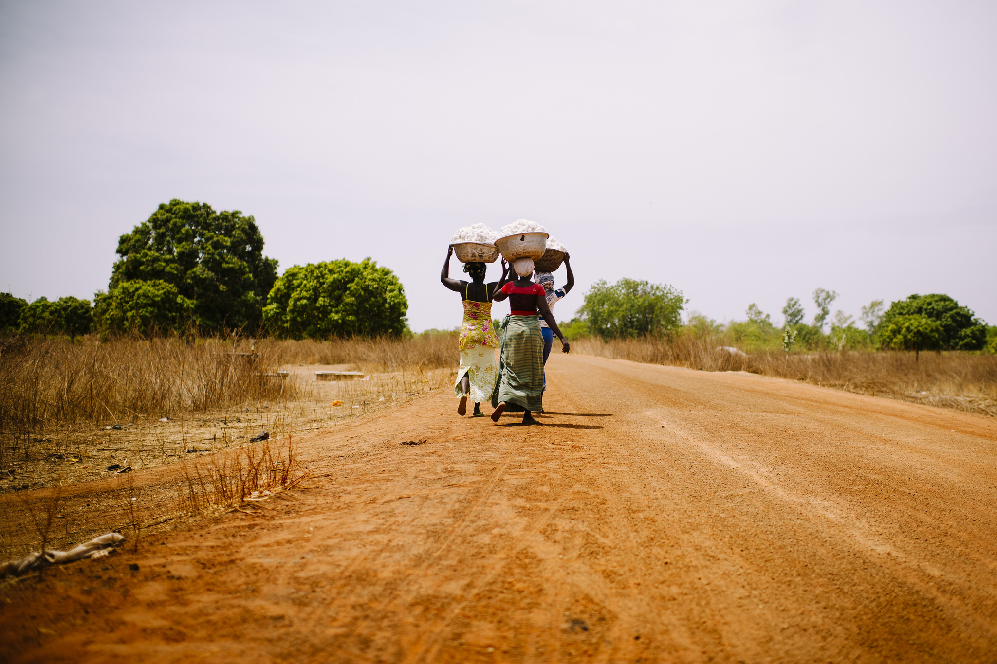 Faire émerger les approches paysagères sur le terrain