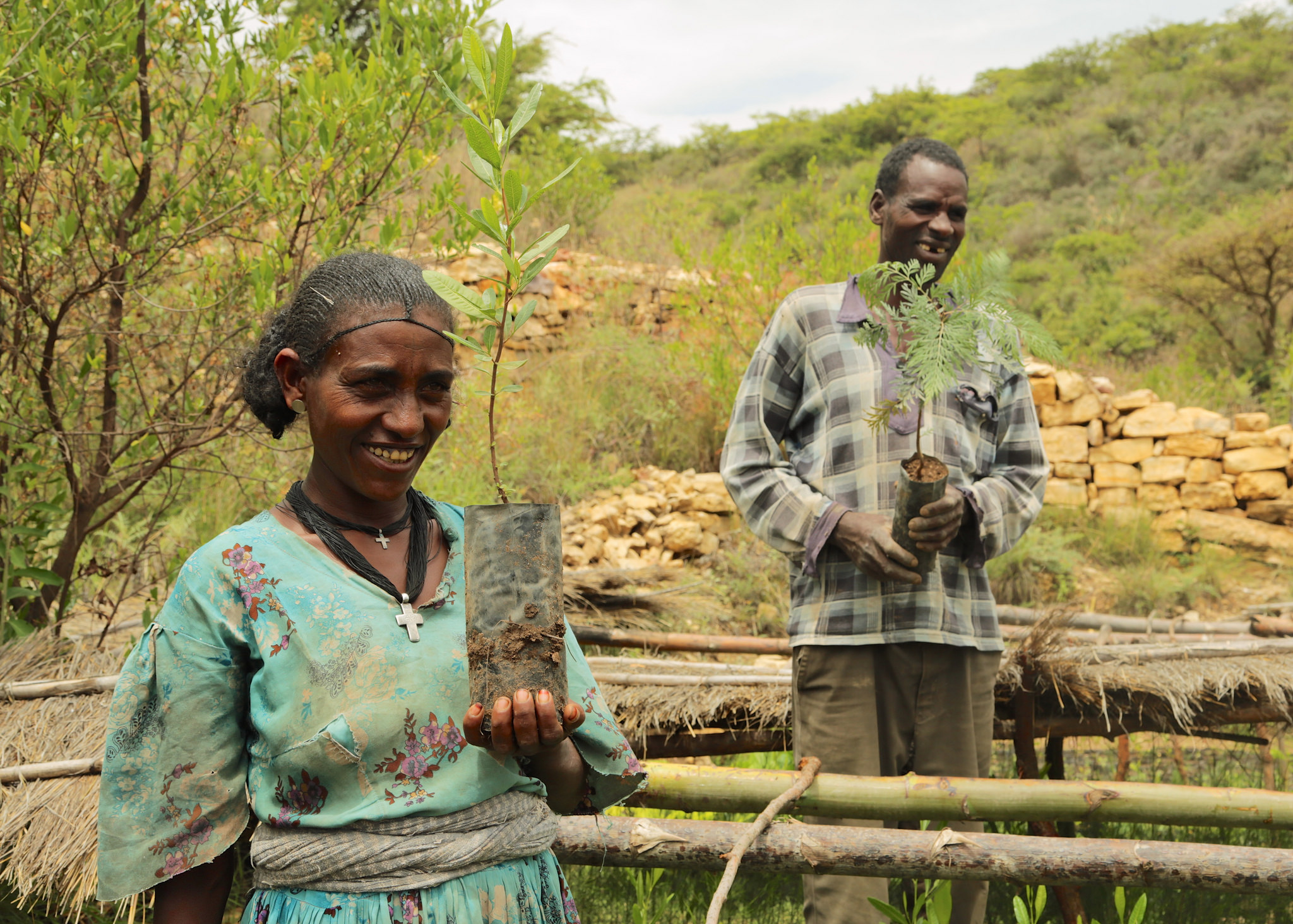 Ethiopia’s new forestry law: A win for landscapes and livelihoods?