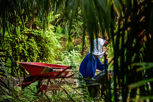 Kembali ke masa depan: Merancang skenario kelapa sawit hingga 2035