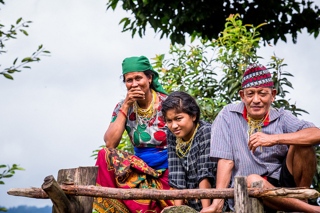 Interseksionalitas juga penting untuk hutan