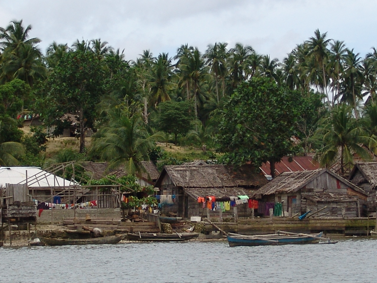 How to save Indonesia’s last seasonal forests