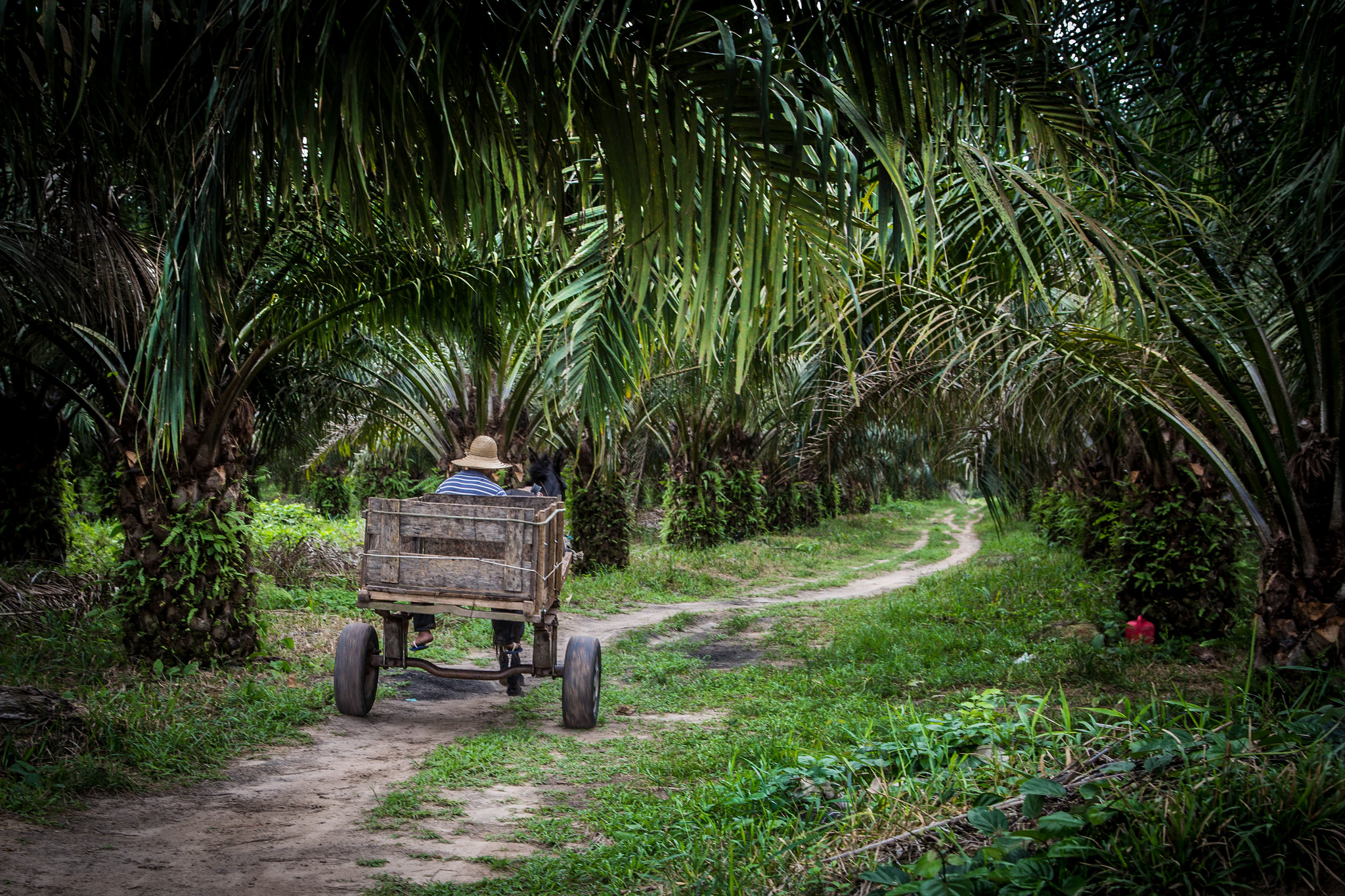 Can a jurisdictional approach boost sustainability?