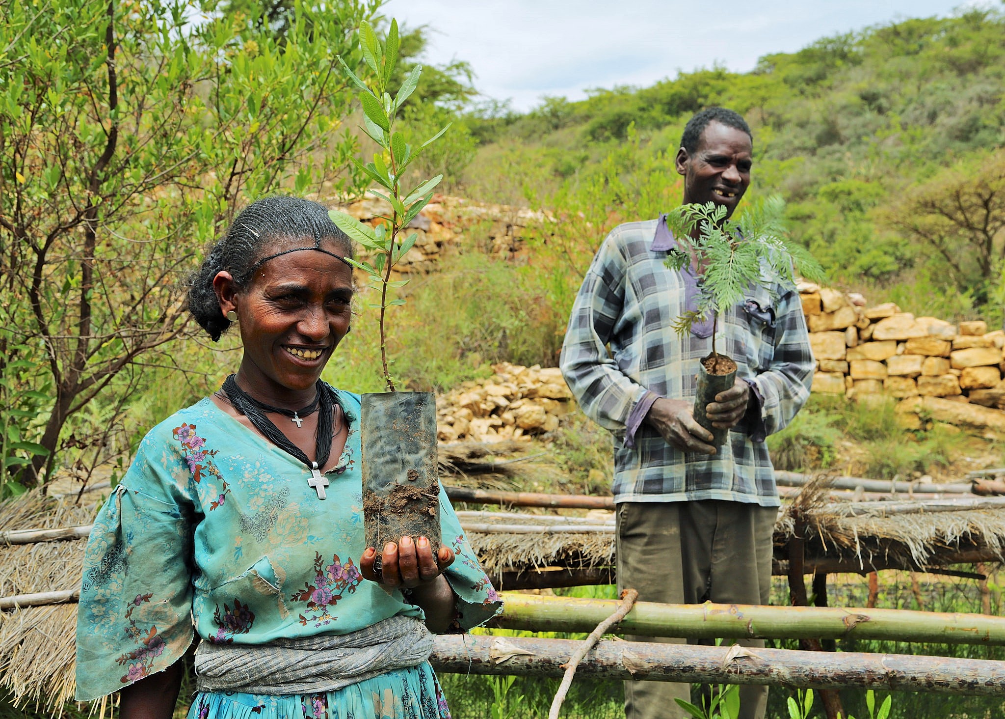 Los beneficios a la comunidad son cruciales para la restauración de paisajes