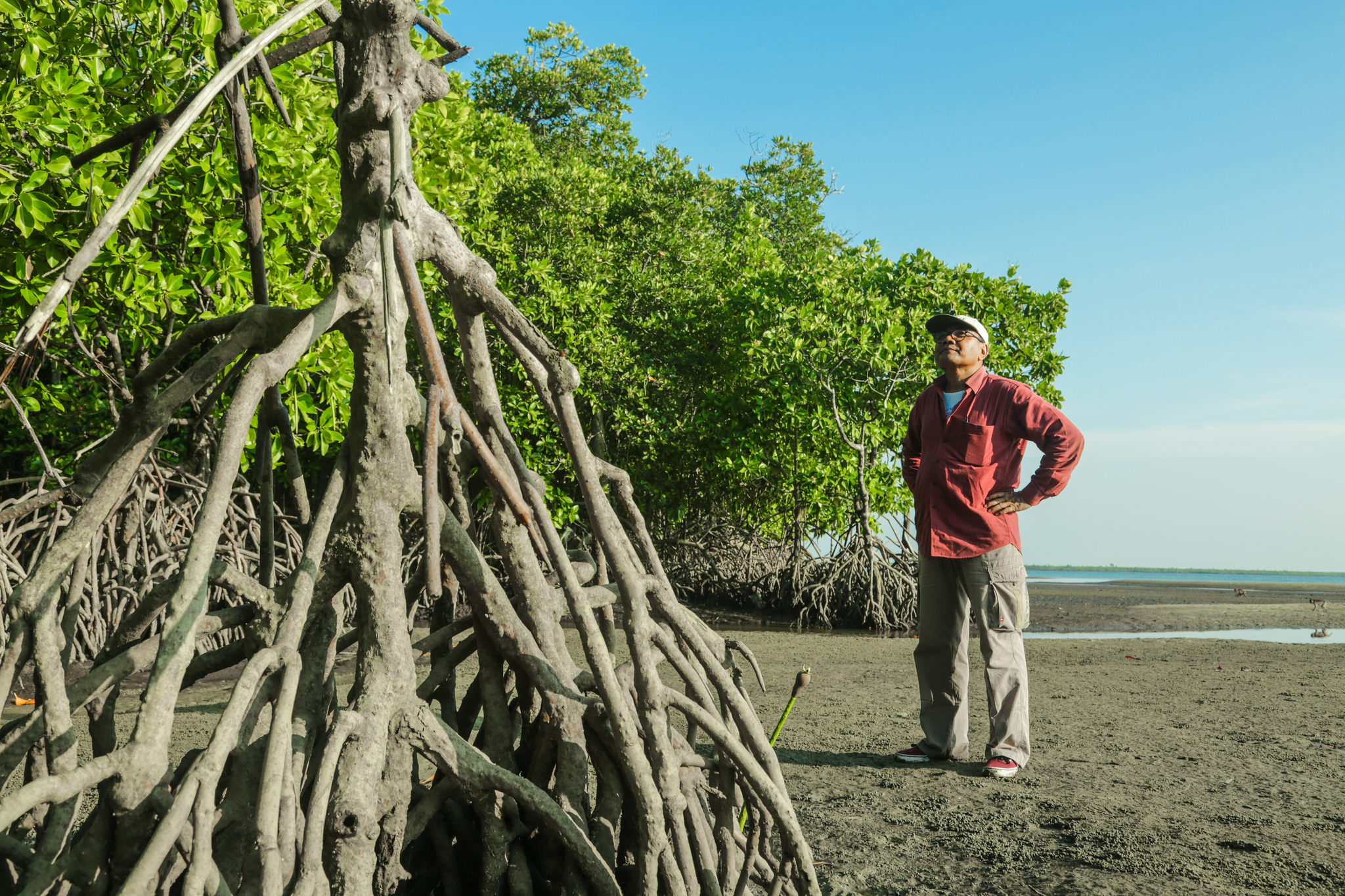 Un forestal sin igual
