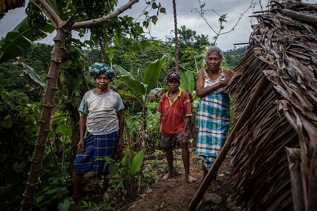 Fungsi penting wilayah adat bagi konservasi hutan