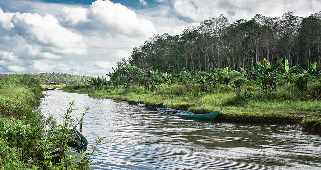 Bioenergi: Solusi terbaik menyelesaikan tiga masalah?