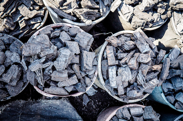 Global bio-economic transformation: What does it mean for forests?