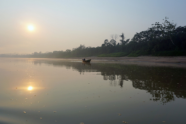 Mengukur keberhasilan tata kelola hutan berkelanjutan