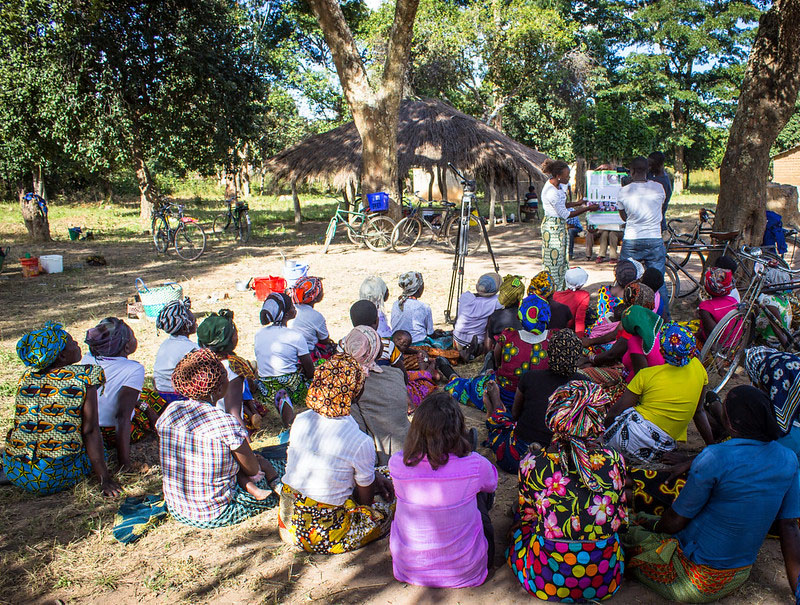 TreesAdapt platform launched at GLF