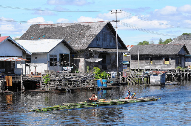 Bamboo: a sustainable alternative for bioenergy production in Indonesia?