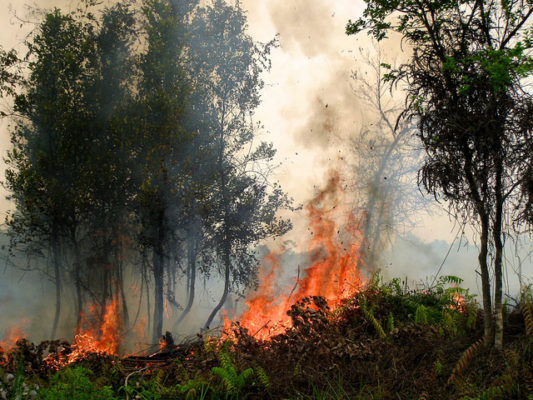 Fires burn in Palangkaraya in Central Kalimantan, Indonesia.
