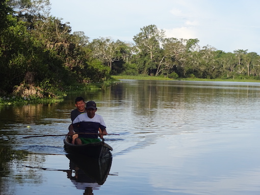 Recognition of indigenous territories as a REDD+ strategy: An example from the Peruvian Amazon