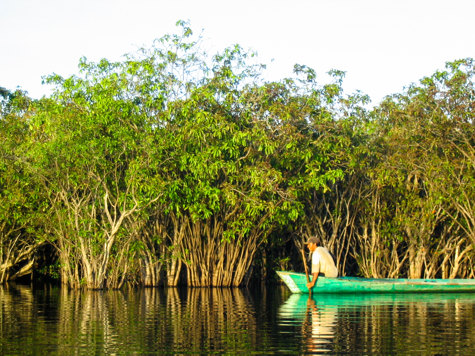 Blue carbon focus could sail Indonesia through Paris targets