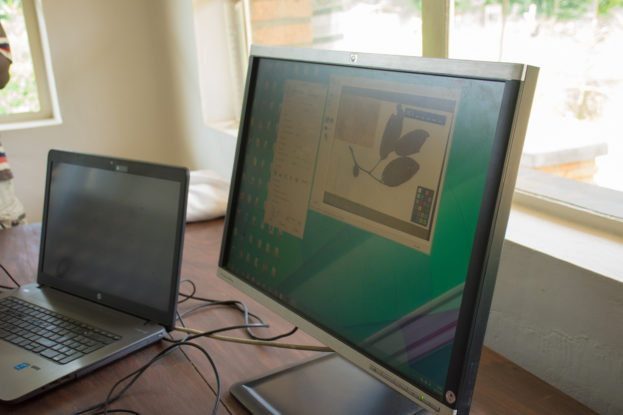 Digitization of specimens will enable access to researchers around the world, Yangambi, DRC