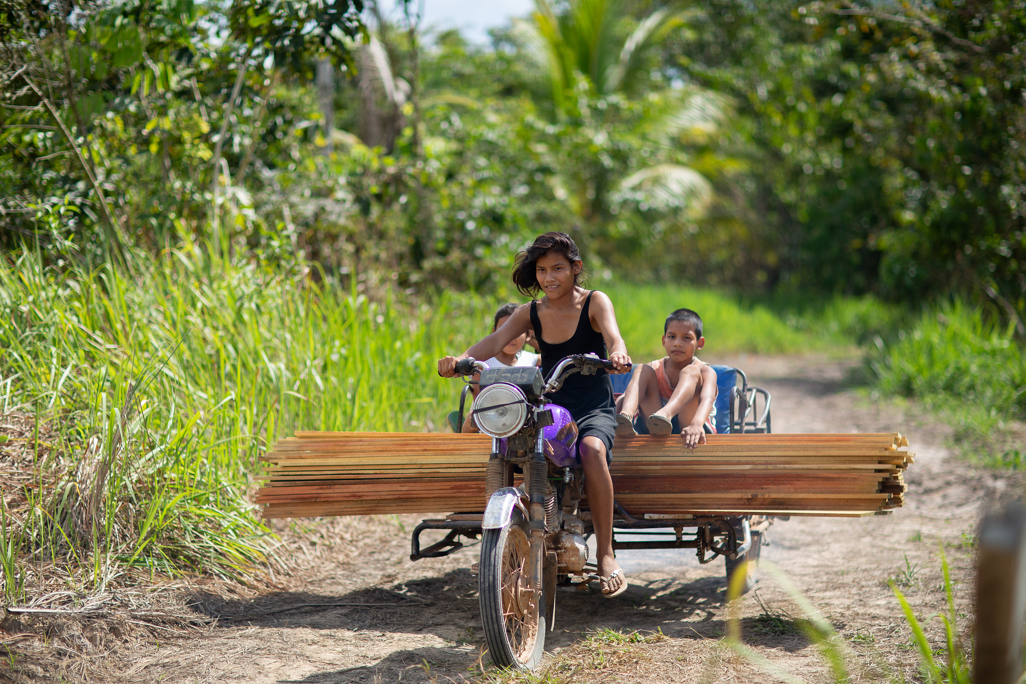 Abordar la migración y su impacto en los paisajes forestales es clave para los ODS