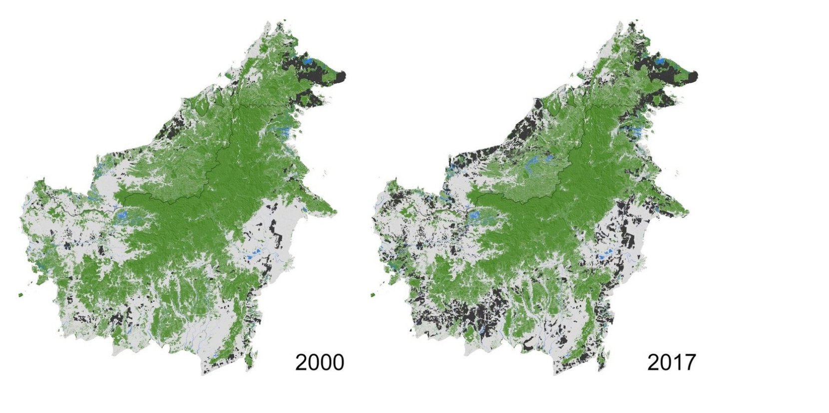 Apakah laju deforestasi di pulau Kalimantan melambat?