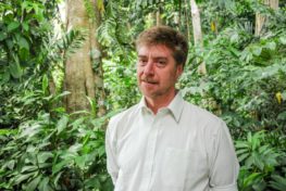 What do trees do when we are not looking?
