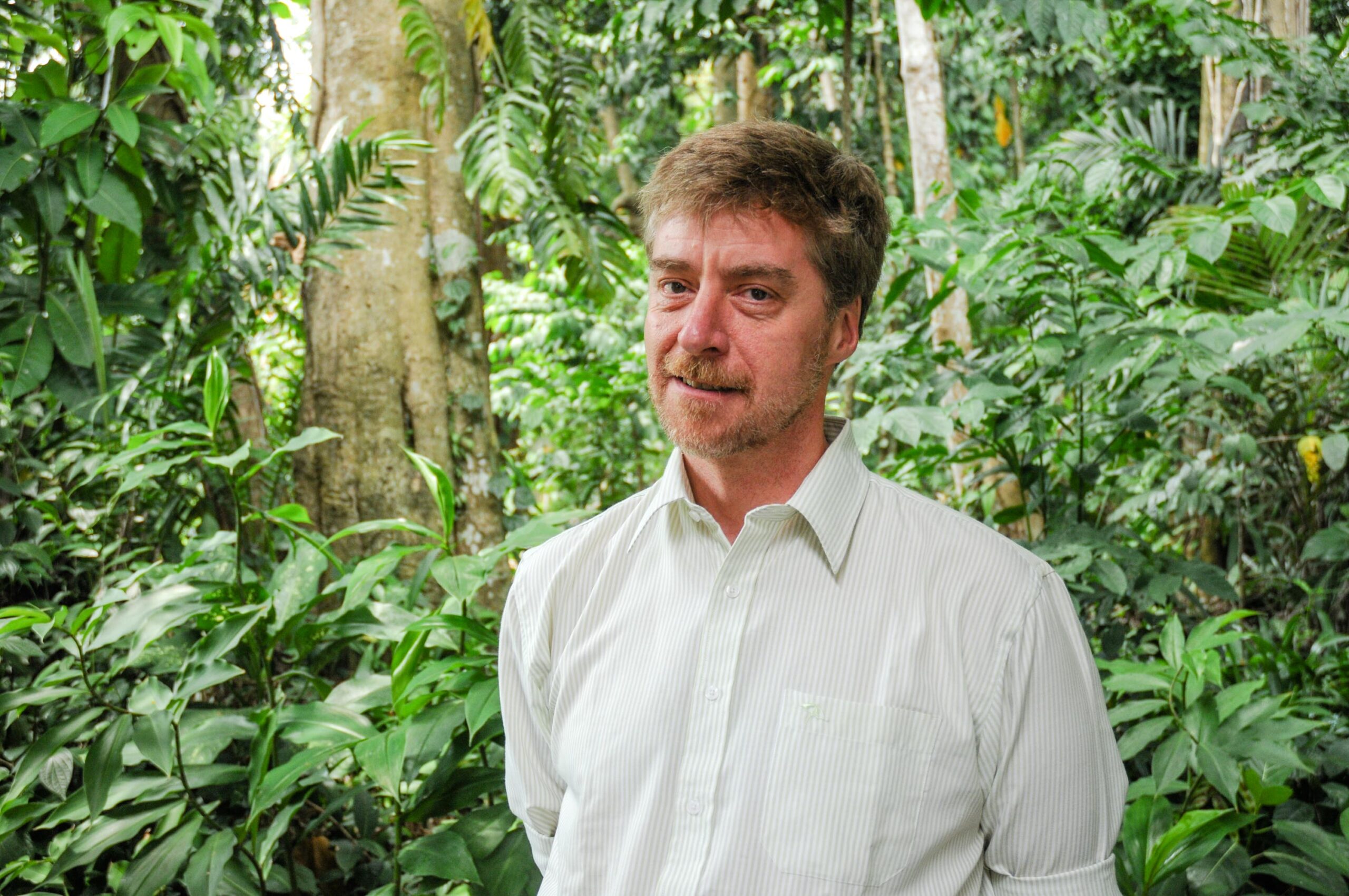 What do trees do when we are not looking?