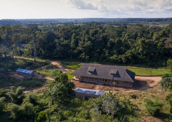 The herbarium is located within the Yangambi Biosphere