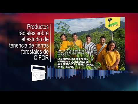 Reportaje radial sobre la defensa de los derechos a la tierra de las comunidades nativas – CIFOR