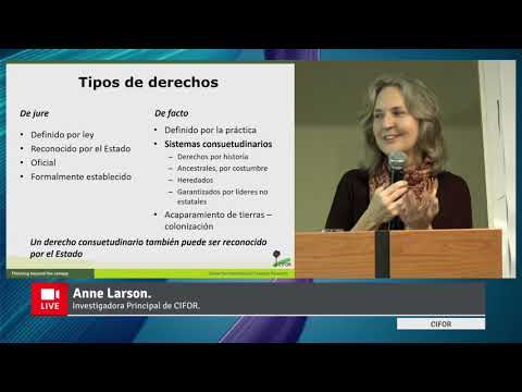 Video presentación: Anne M. Larson de CIFOR