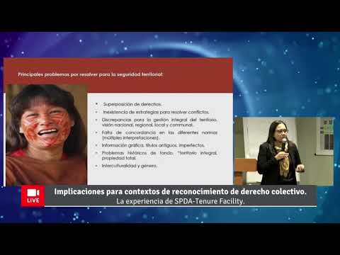 Video presentación: Silvana Baldovino