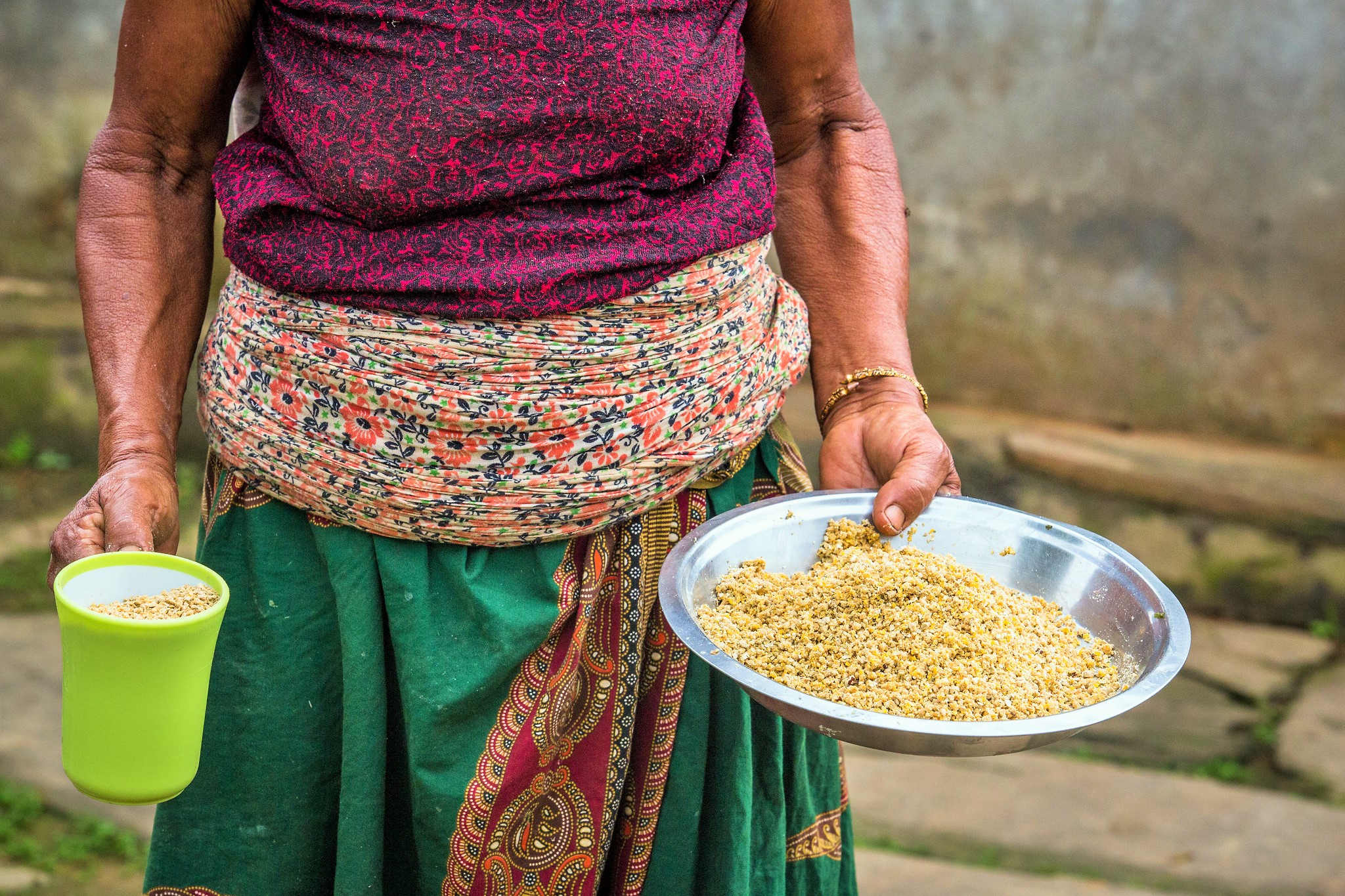 La intensificación agrícola ha alimentado al mundo, pero ¿estamos más saludables?