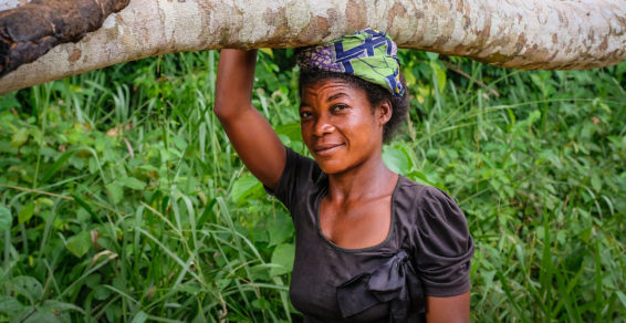 yangambi, DRC, community forestry, democratic republic of the congo